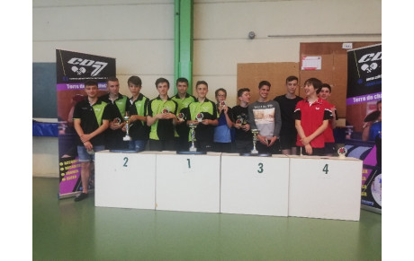 CHAMPIONS DE SEINE ET MARNE